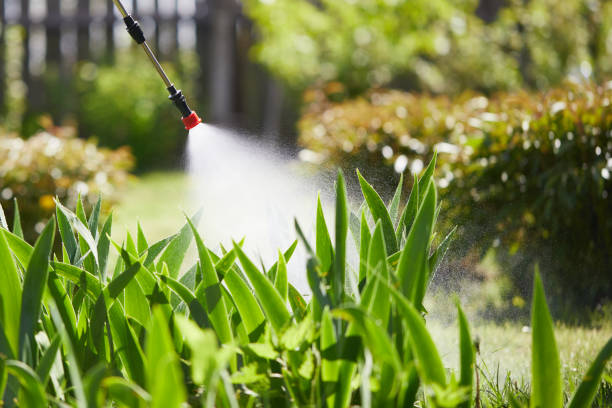 24/7 Emergency Termite Control experts in Marsing, ID